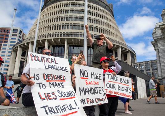 Demonstranten voor 'The Beehive', het Nieuw-Zeelandse parlement.