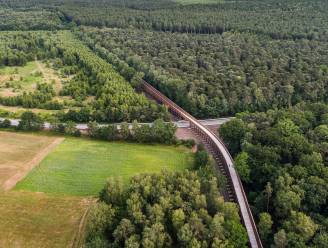 “Amateurpiloot bromt en vliegt vaak zonder planning”: Limburgs Landschap wil drones weg uit natuurgebieden