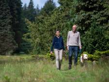 Mysterieuze bomentuin op de Eelerberg is eindelijk fatsoenlijk zichtbaar: ‘We krijgen er geen genoeg van’