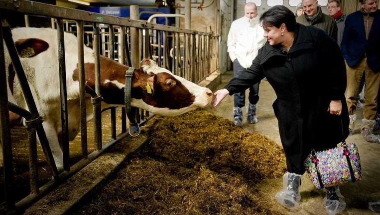 Staatssecretaris Sharon Dijksma van Economische Zaken brengt een werkbezoek aan de Dairy Campus in Leeuwarden. Beeld anp