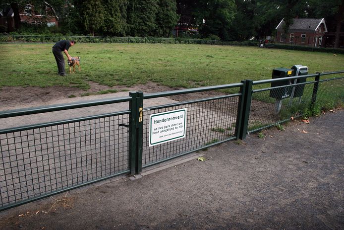 Hertogin Geloofsbelijdenis Oxide Gemeente bepaalt hondenuitlaatplek | Arnhem | gelderlander.nl