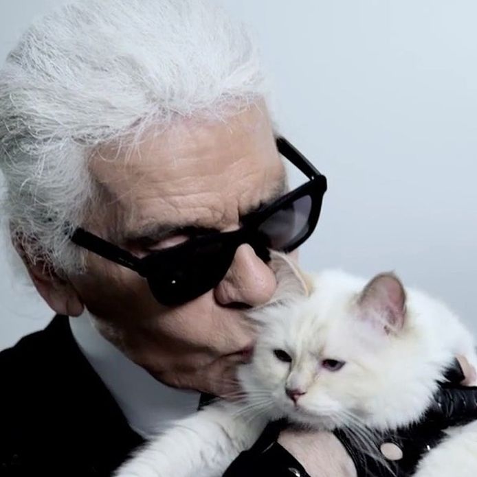 verwende poes Karl Lagerfeld maakt kans op deel erfenis | Lagerfeld: 1933-2019 | AD.nl