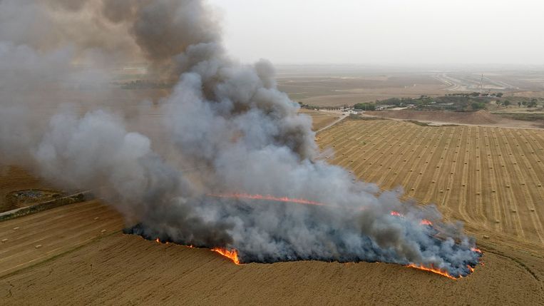 Een veld in brand door brandballonnen. Beeld AFP
