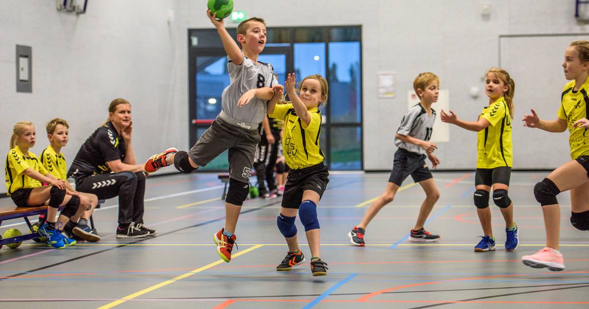 Heusden kiest voor een grote sporthal in De Grassen.  “Alles is nu ingepakt” |  Waalwijk, Heusden eo