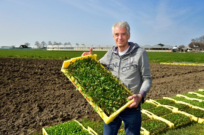 Oud-wethouder Martien Kromwijk maakt zich grote zorgen om het klimaat en heeft daarom een nieuwe, activistische, lokale partij opgericht: Mijnklimaatpartij.