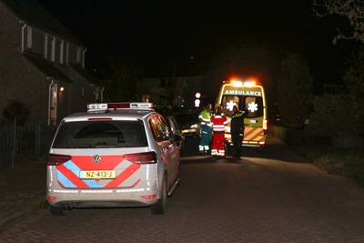 Baby ernstig gewond door hondenbeet