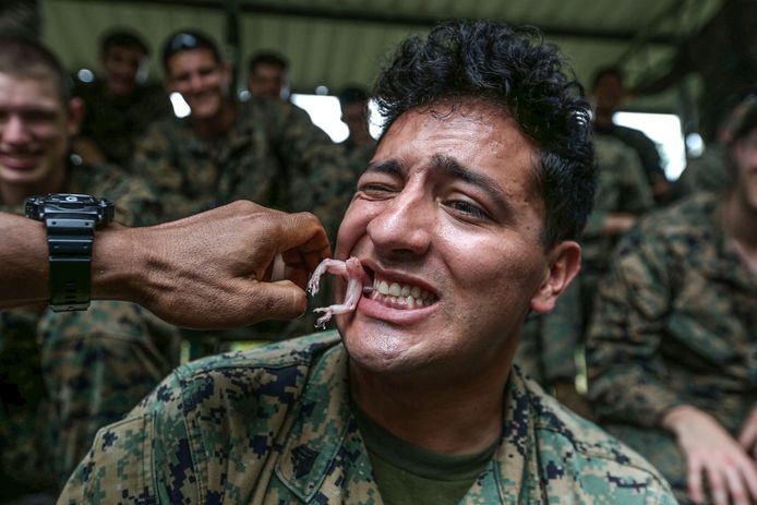 Een Amerikaanse marinier eet een gekko tijdens een jungletraining met Thaise militairen in de provincie Chonburi. Foto Athit Perawongmetha
