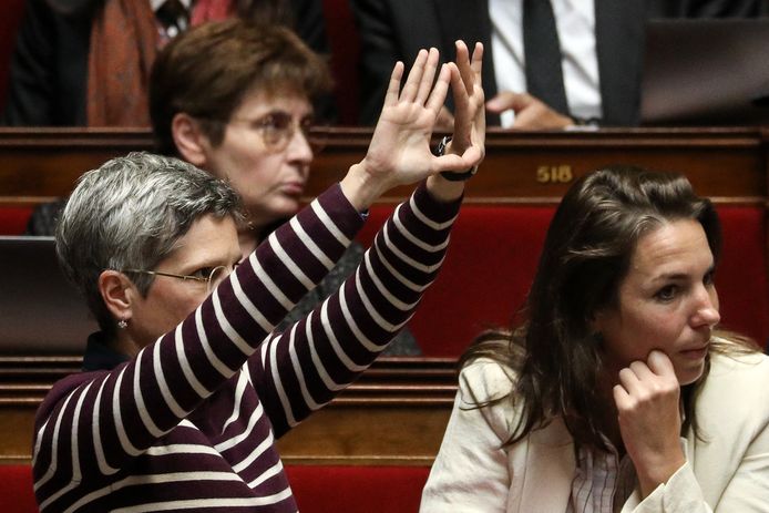 Sandrine Rousseau s'est levée de son banc et a effectué un geste en direction de son accusatrice. Ses bras tendus au-dessus de sa tête et ses mains formant un triangle, représentant un vagin. Il s’agit d’un symbole féministe apparu dans les années 1970 et qui s'est largement répandu dans le milieu depuis lors.