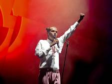 Stromae et IAM font leur entrée dans le dictionnaire 