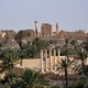 IS verovert archeologische schatkamer Palmyra