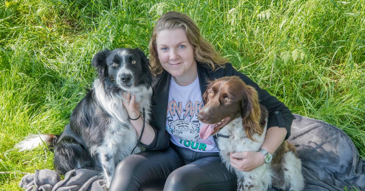 Denise (17) wil best in Zeeland blijven: ‘Ooit een boerderijtje met een eigen paard én een leuke vri