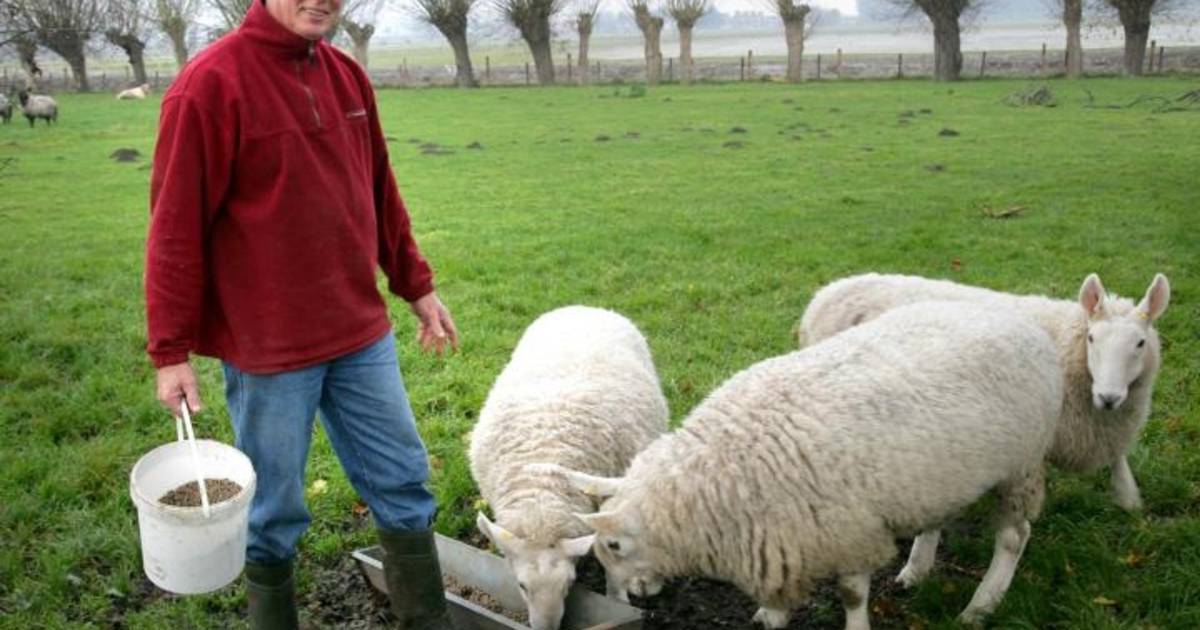 Schapenboer Goede Hope stopt er mee