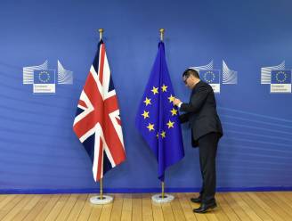 Europese Commissie "verrast dat Britse regering verrast is" over noodplanning