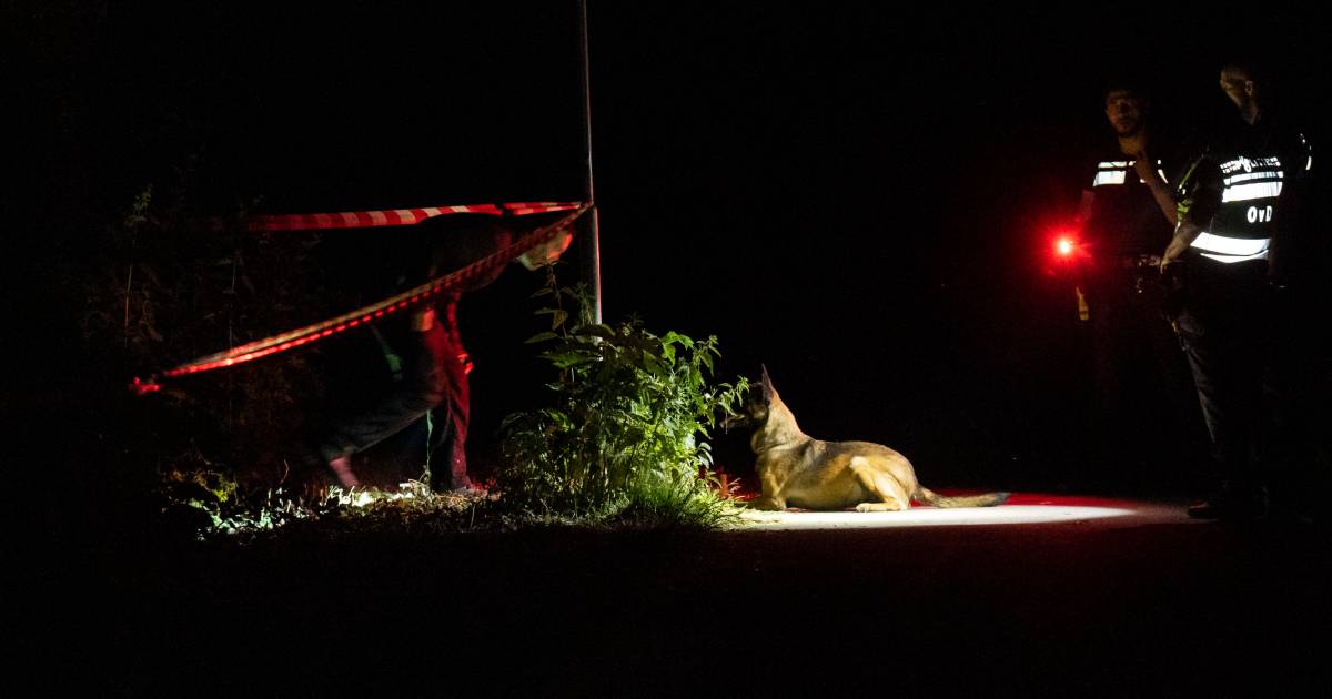 Ouders sturen excuusbrief naar politie: hun zoons kunnen daardoor worden opgepakt voor overval op wo