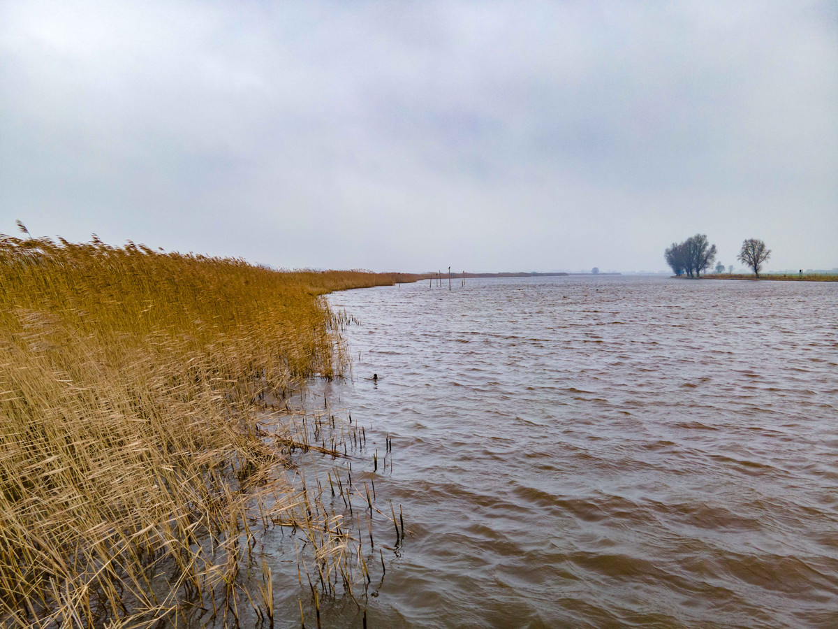 Rijkswaterstaat wil in het Zwarte Water  op vier plekken tussen Hasselt en het Zwarte Meer stalen damwanden plaatsen. Wethouder Harrie Rietman zit nog vol vragen, onder meer over de gevolgen voor de rietkragen en de vogels die daarin nestelen.