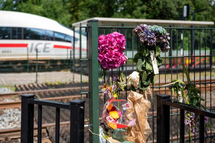 Op de spoorwegovergang in Wolfheze heeft vrijdag een dodelijk ongeval plaatsgevonden.