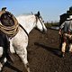 Fotoblog - Israël heeft ook echte cowboys