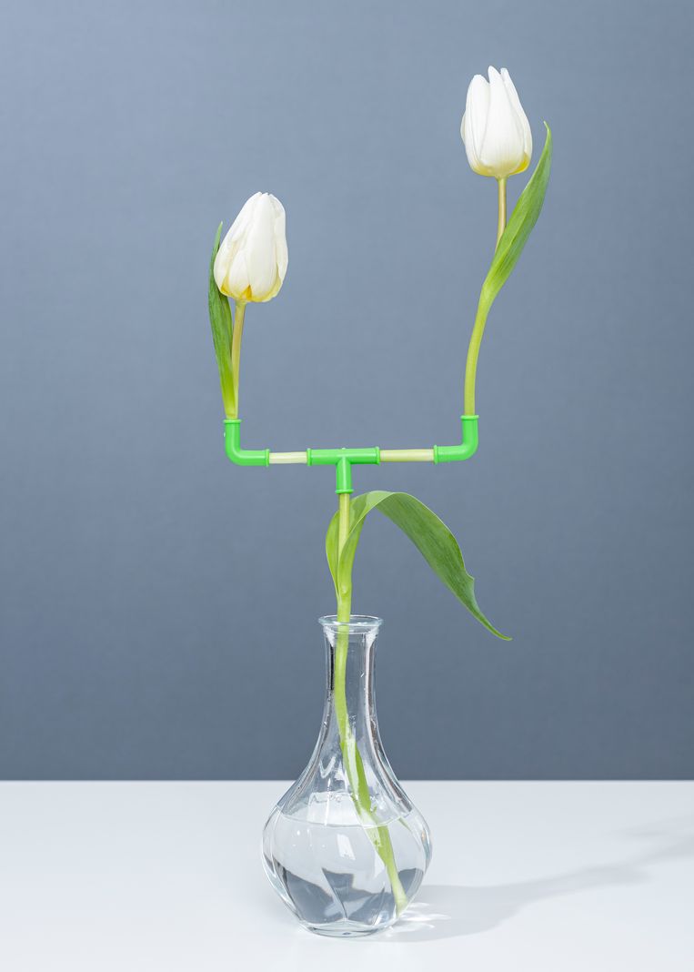 null Beeld PUTPUT/Galerie Esther Woerdehoff