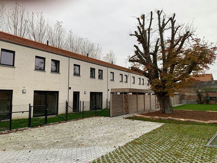 De zes koopwoningen met de oude kastanjeboom.