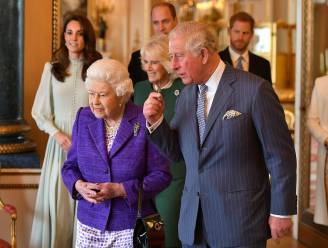 Harry en Meghan lovend voor Queen, maar vernietigend voor ‘The Firm’: wie trekt er aan de touwtjes in Buckingham Palace?