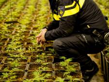 Verhuurder zat fout bij wietplantage Dommelstraat