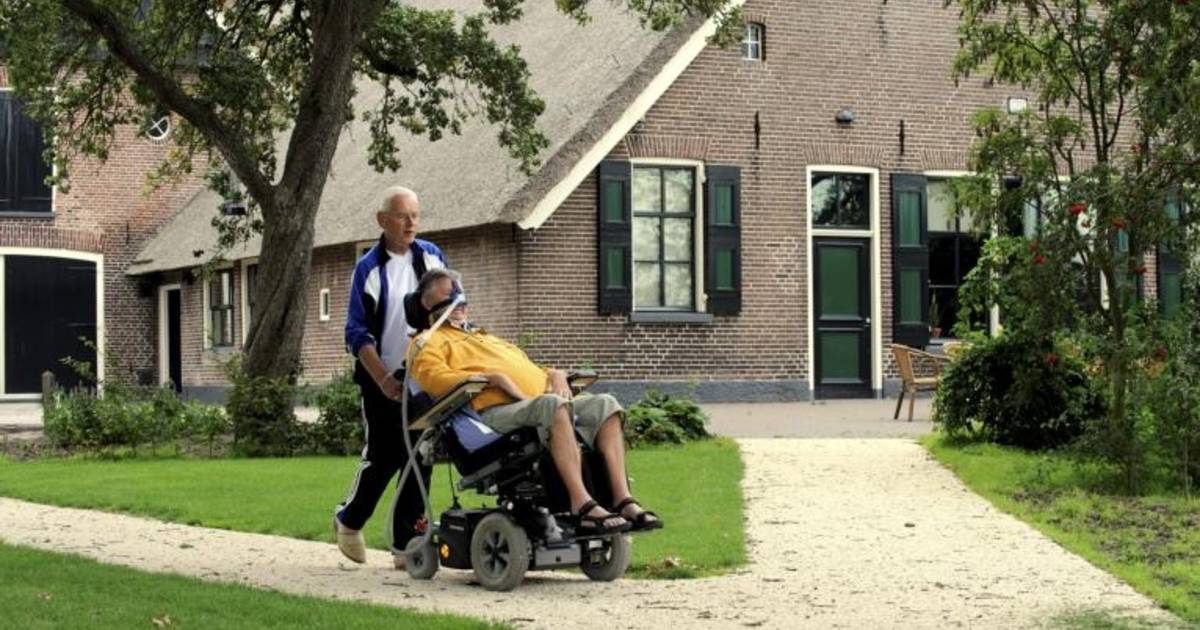 Met handicap op vakantie in Loozen