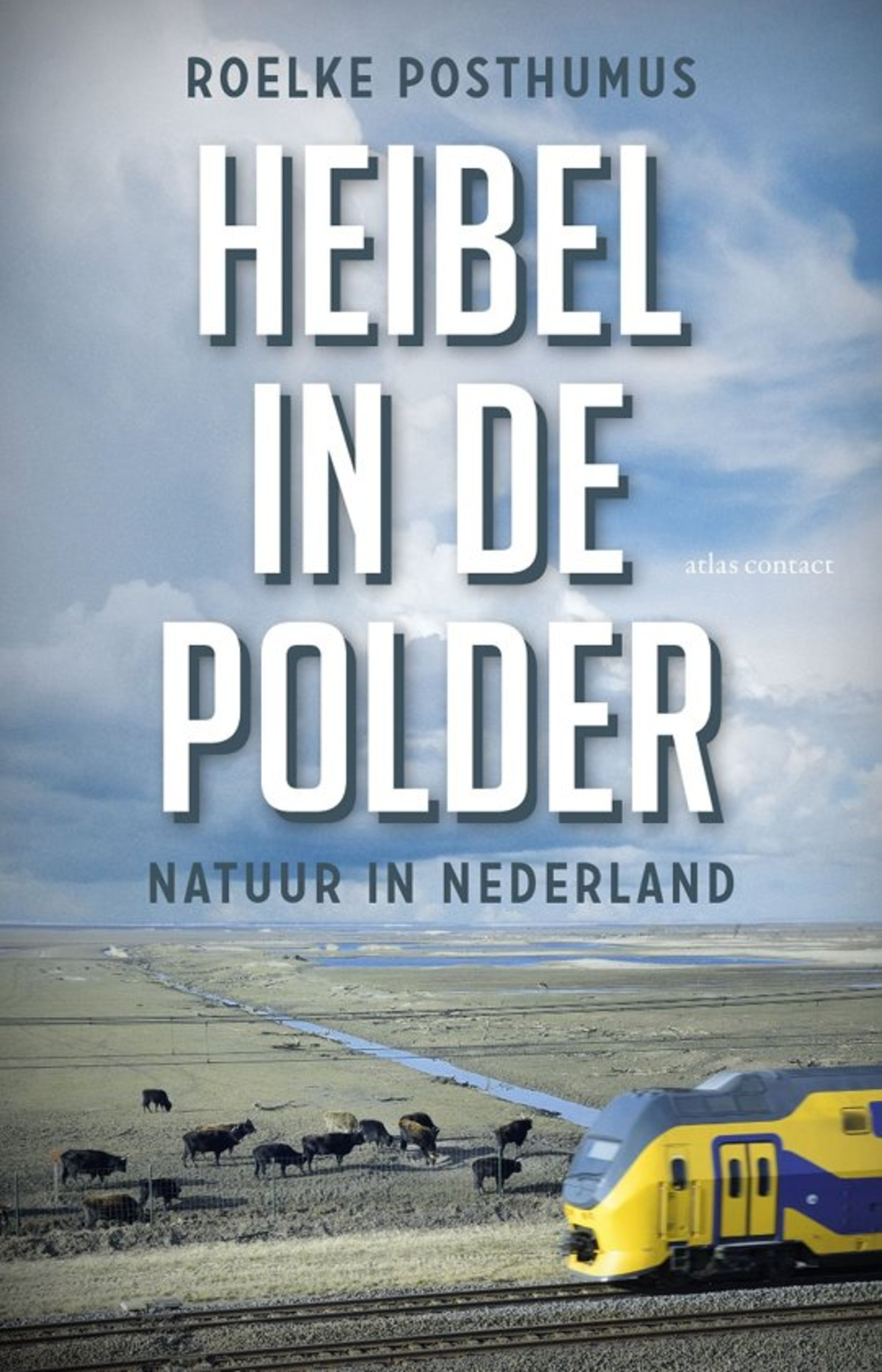 null Beeld 