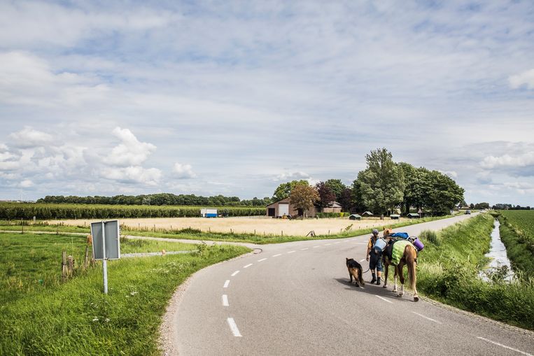 null Beeld Aurélie Geurts