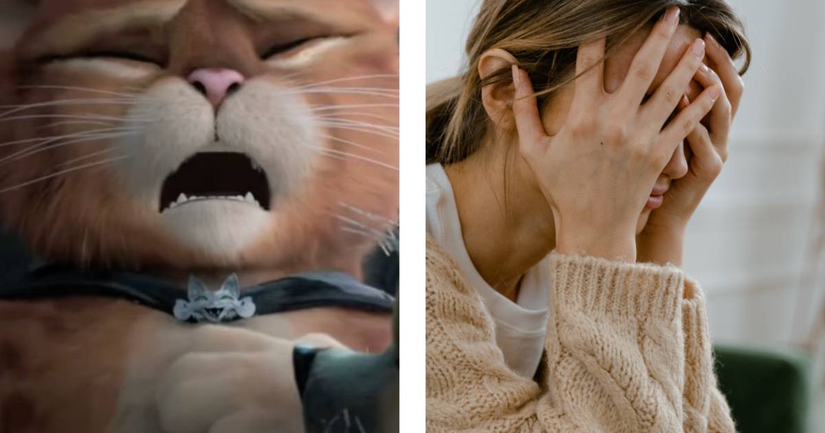 Puss in Boots has a panic attack. Expert Answers 16 Pressing Reader