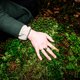 Het bosbad als heilzame ontsnapping: de Volkskrant ging op een trippy wandeling door de Amsterdamse Waterleidingduinen
