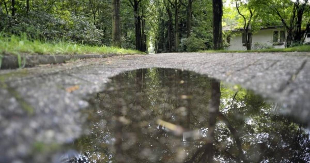 DORPSDRAMA - 'Ik heb net een vent flink afgeslagen'