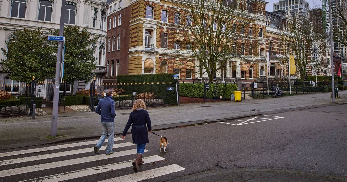 Nepverhuurders slaan toe in #Den_Haag: ‘Ik was wanhopig op zoek naar een woning'.