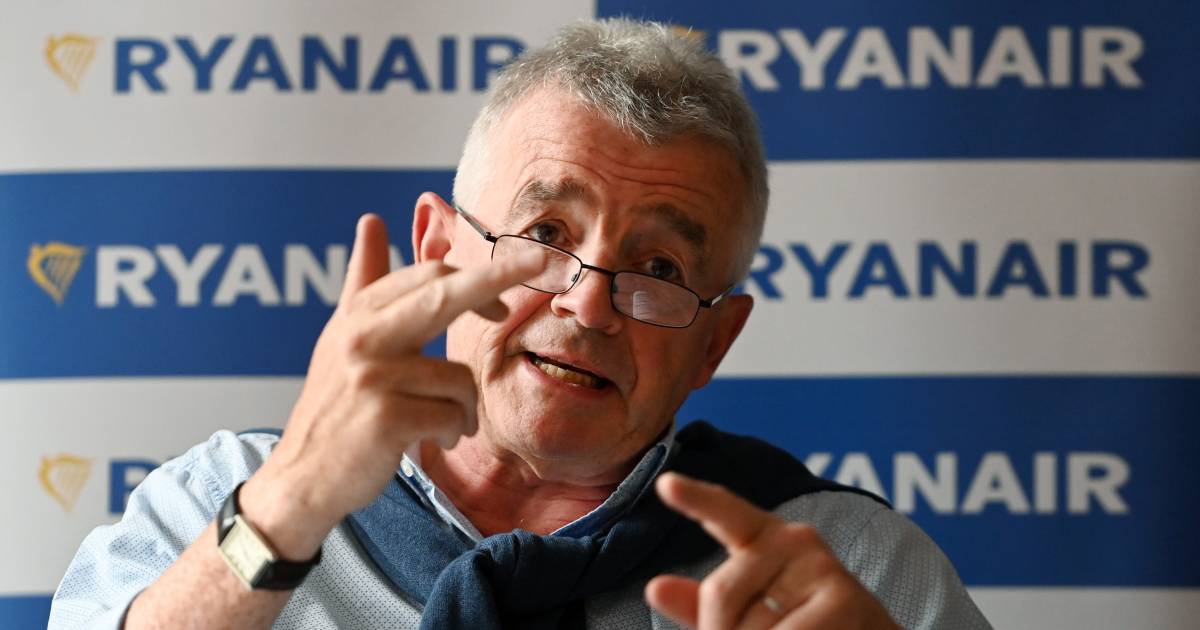 Глава Ryanair хочет военной интервенции в британских аэропортах |  для путешествия