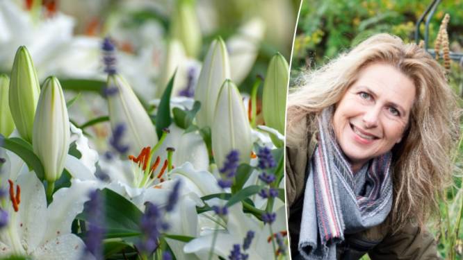 Deze planten, bloemen en kruiden uit eigen tuin zijn goed voor je: “Stop je neus in een bloem, sluit je ogen, en laat mooie geurherinneringen naar boven komen”