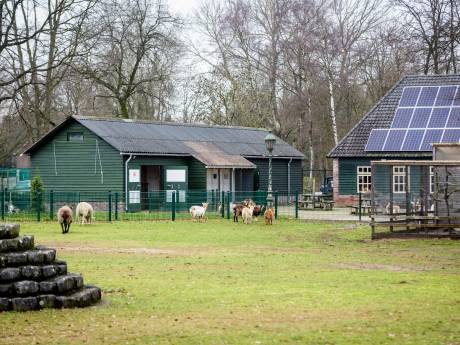 Open Huis bij kinderboerderij ‘De Kleine Meer’ Valkenswaard
