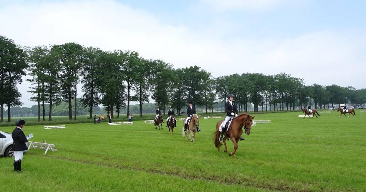 Paarden en pony’s zetten beste beentje voor tijdens concours van St. Martinus in Lennisheuvel