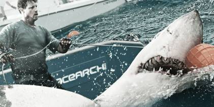 Preloaded landscape image of Shark Wranglers