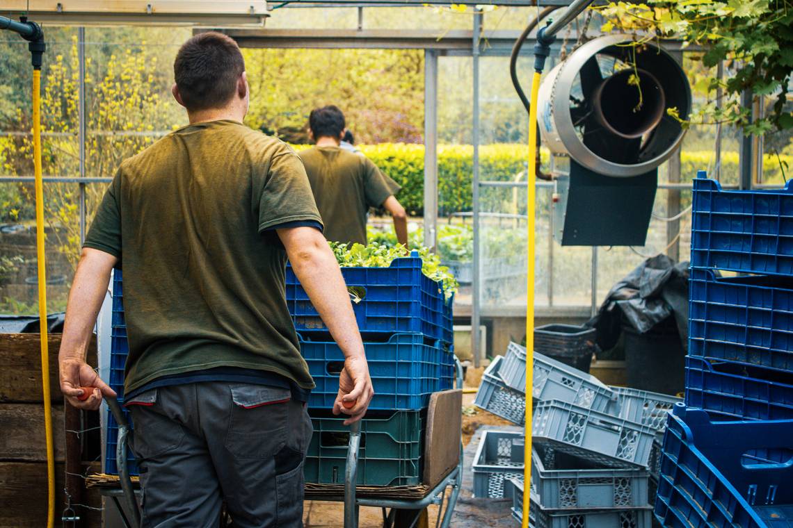 Waarom migratie volgens economen geen keuze meer is, maar een noodzaak: ‘We kopen tijd om de vergrijzing op te vangen’