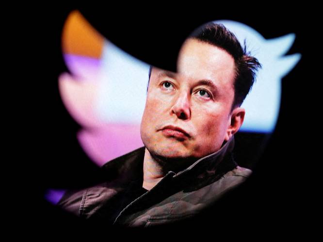 Elon Musk wil gebruikers op Twitter laten betalen voor geverifieerde accounts