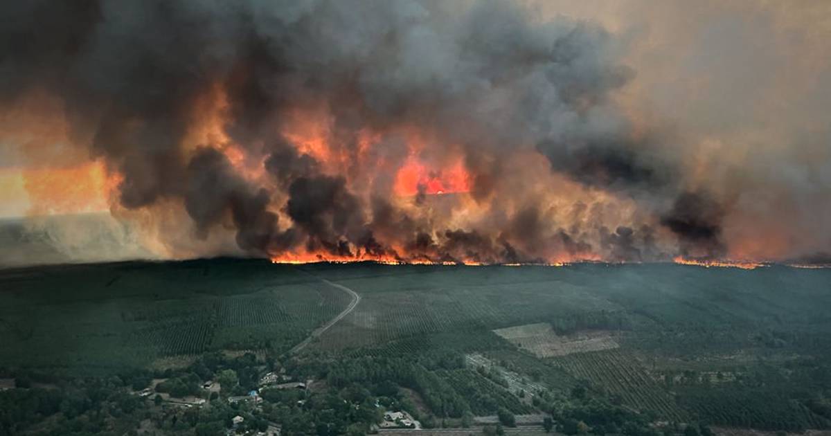 Des milliers de personnes évacuées vers de grands incendies dans le sud de la France |  sécheresse et chaleur