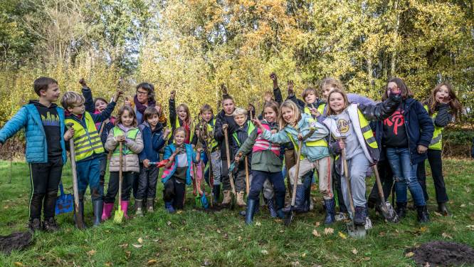 Gemeente plant 1.500 bomen aan ‘Konijnenberg’: “Tegen 2030 een boom per inwoner in onze gemeente”