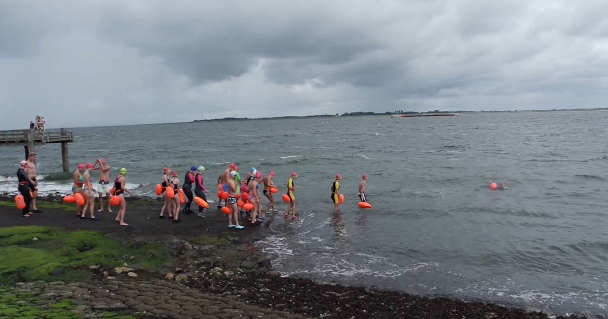Zwemtocht Stavenisse-Sint-Annaland gaat tóch door