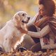 Dít kan in de herfst levensgevaarlijk zijn voor je hond