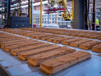 Wienerberger sluit deze zomer deel van productie in Kortemark: “We vangen zo de dalende vraag op bouwmarkt op”