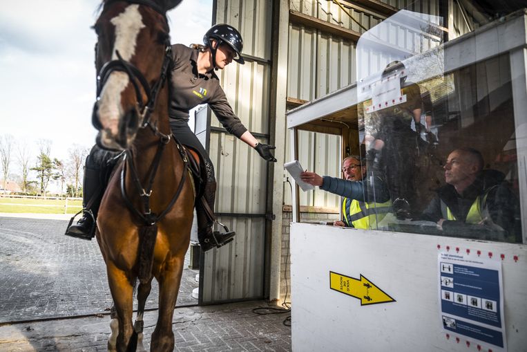 Een vrouw komt per paard stemmen bij manage De Pijnhorst in Sint-Oedenrode. Beeld ANP / Rob Engelaar