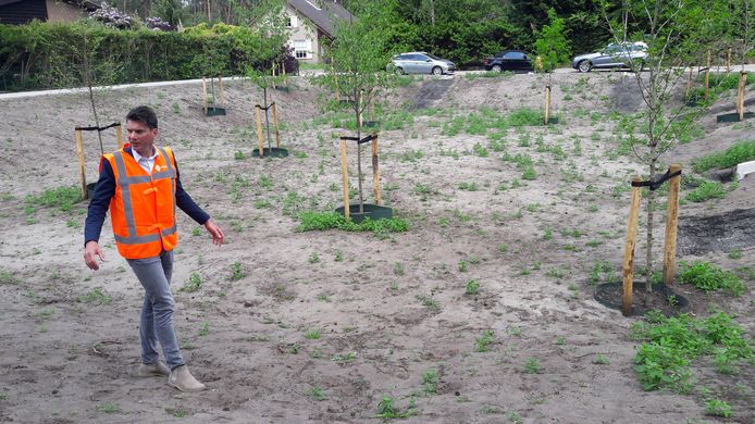 Wethouder Jeffrey van Agtmaal in de grote wadi te Putte die dient als overloop voor regenwater bij hoosbuien. De wadi wordt ingezaaid met gras en een bijenmengsel van bloemzaden. De bomen kunnen tegen tijdelijke 'natte voeten'.