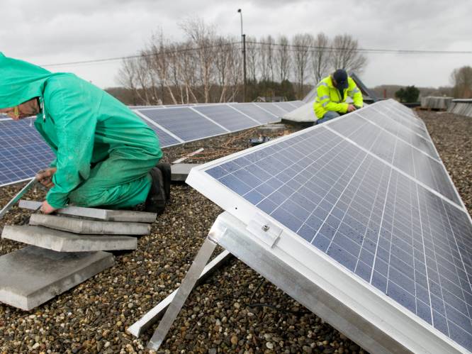 Bedrijven kunnen zonnepanelen aanschaffen via gemeentelijke groepsaankoop