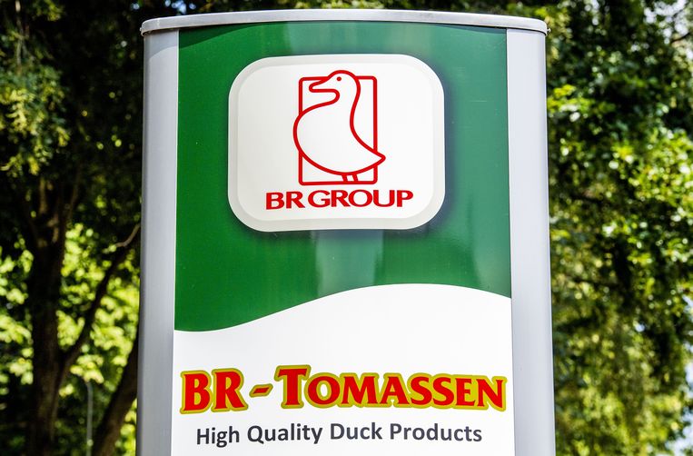 Logo van eendenverwerker Tomassen Duck-To. Beeld ANP 