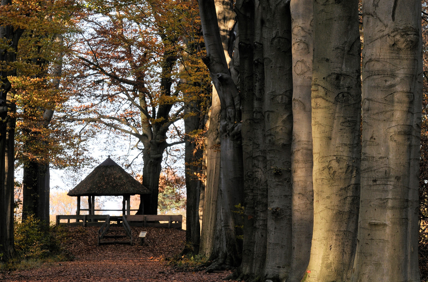 Wandelen over het landgoed van Henriëtte Roland Holst in Achtmaal