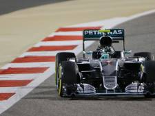 Victoire de Rosberg, Stoffel Vandoorne fait bonne figure